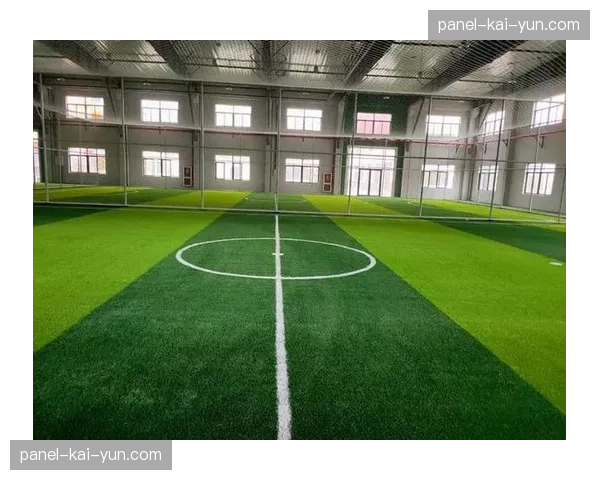 欧足联规定天然草坪高度不得超过30毫米，确保比赛公平性